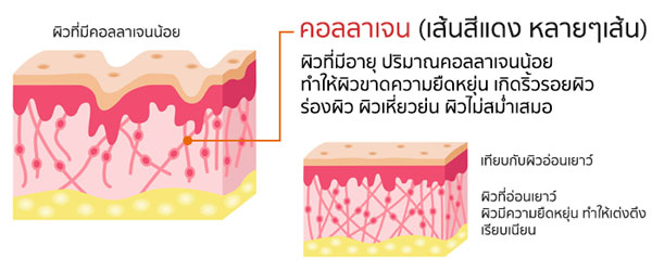 w collagen plus wink white วิ้งไวท์ คอลลาเจน พลัส ดับเบิ้ลยู วิงค์ไวท์