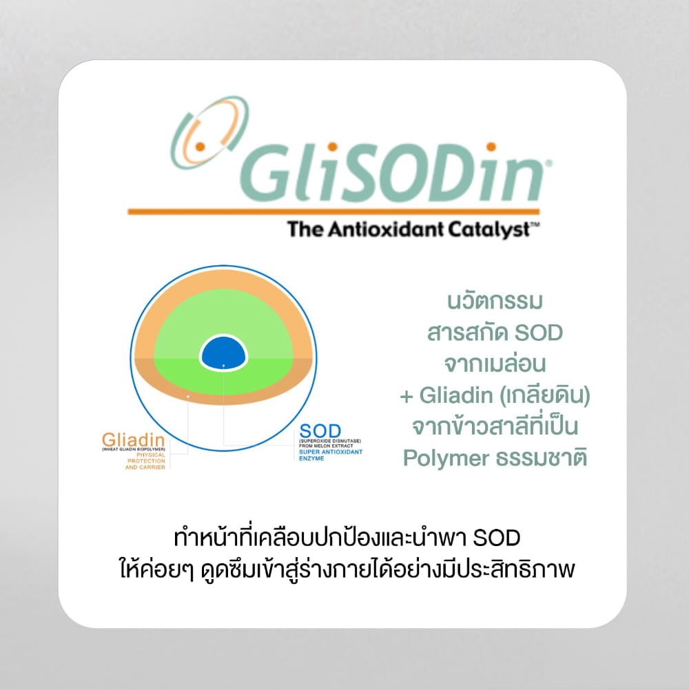  w collagen wink white blue pink วิ้งไวท์ คอลลาเจน วิงค์ไวท์ ผิวขาว กระจ่างใส ริ้วรอย ฝ้า กระ ปวด ข้อ เอ็น กระดูก เล็บ เส้นผม เซราไมด์ ไดเปปไทด์ ไตรเปปไทด์ ไฮโดร dipeptide tripeptide hydrolyzed ceramide