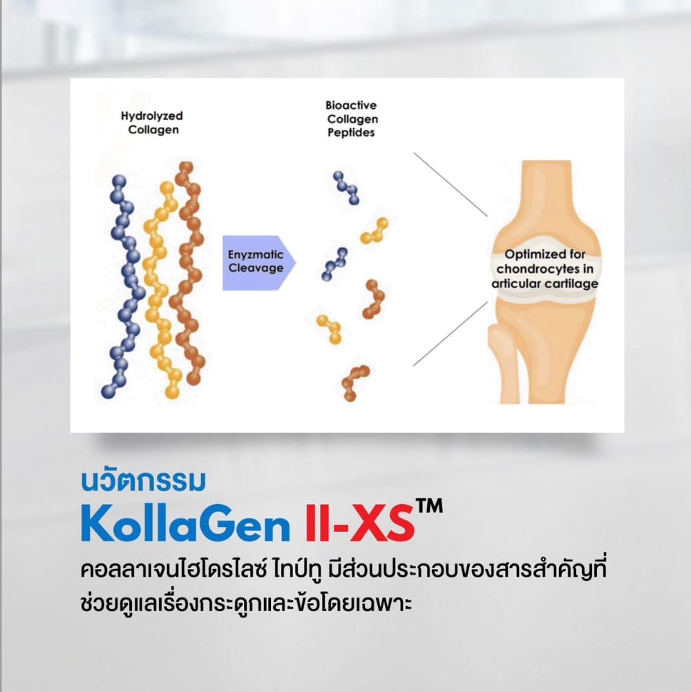w collagen wink white blue pink วิ้งไวท์ คอลลาเจน วิงค์ไวท์ ผิวขาว กระจ่างใส ริ้วรอย ฝ้า กระ ปวด ข้อ เอ็น กระดูก เล็บ เส้นผม เซราไมด์ ไดเปปไทด์ ไตรเปปไทด์ ไฮโดร dipeptide tripeptide hydrolyzed ceramide
