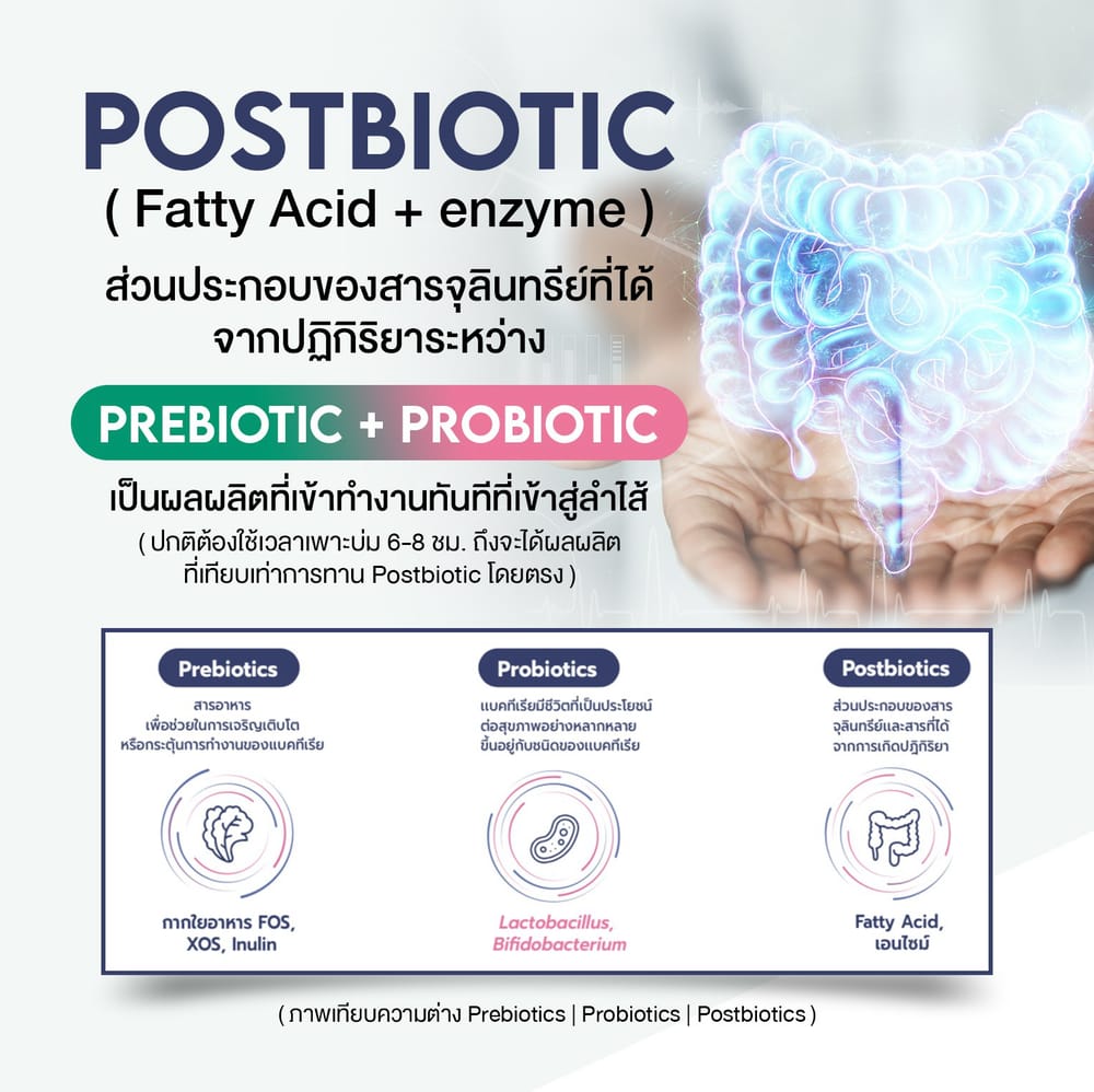 Wink White fiber veggie plus fiber berry ไฟเบอร์ ผัก ผลไม้ ธัญพืช เบอร์รี่ ใยอาหาร วิ้งไวท์ วิงค์ไวท์ ลด พุง น้ำหนัก ดีท้อก เอว กระชับ สัดส่วน