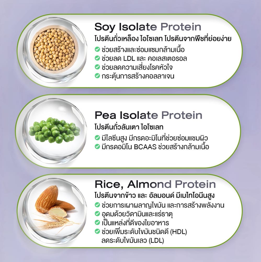 XS Protein Wink White เอ็กซ์เอส โปรตีน วิ้งไวท์ พืช plant วีแกน vegan วิงค์ไวท์