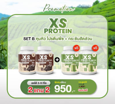 XS Protein Whey Wink White เอ็กซ์ เอส เวย์โปรตีนพืช ชาเขียว มัจฉะ Vegan วิ้งไวท์ Chocolate Green Tea Plant-Based x4 วิงค์ไวท์